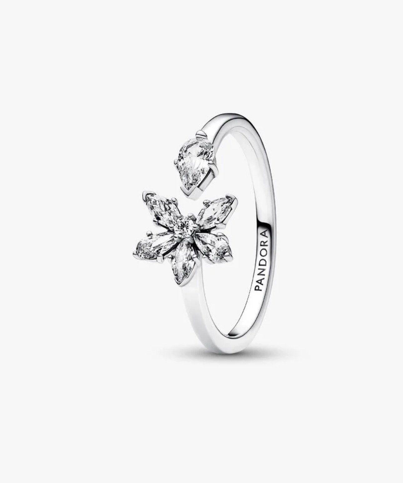 Pandora Sparkling Herbarium